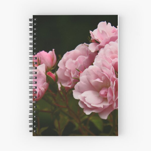 Item preview, Pink Roses... designed and sold by Poete100.
