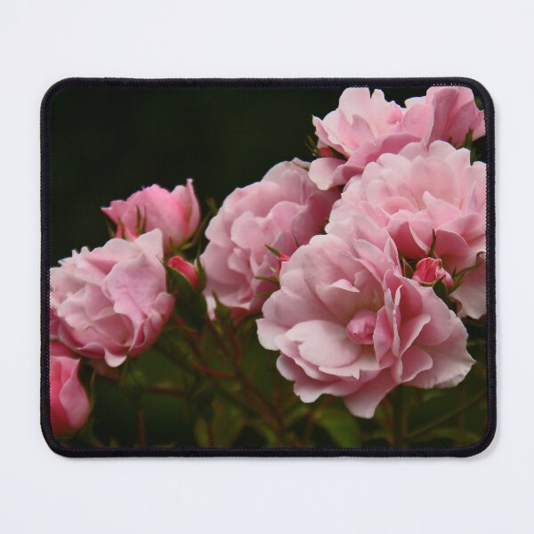 Item preview, Pink Roses... designed and sold by Poete100.