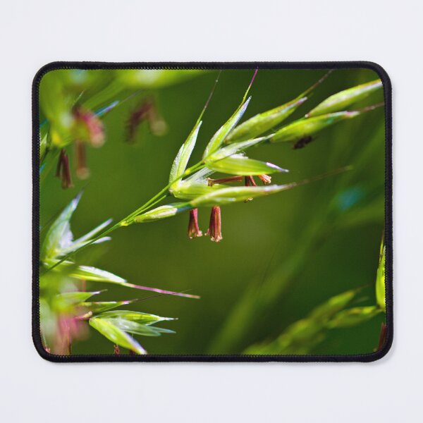 Item preview, Grass designed and sold by KGibbs.