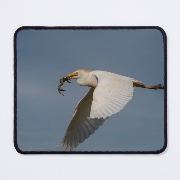 Item preview, Bird & Frog, Photography designed and sold by DegoPine  Art Studio.
