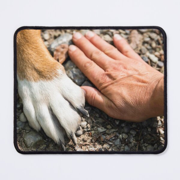 Item preview, Friends Forever, Dog & Hand, Photography designed and sold by DegoPine Art Studio.