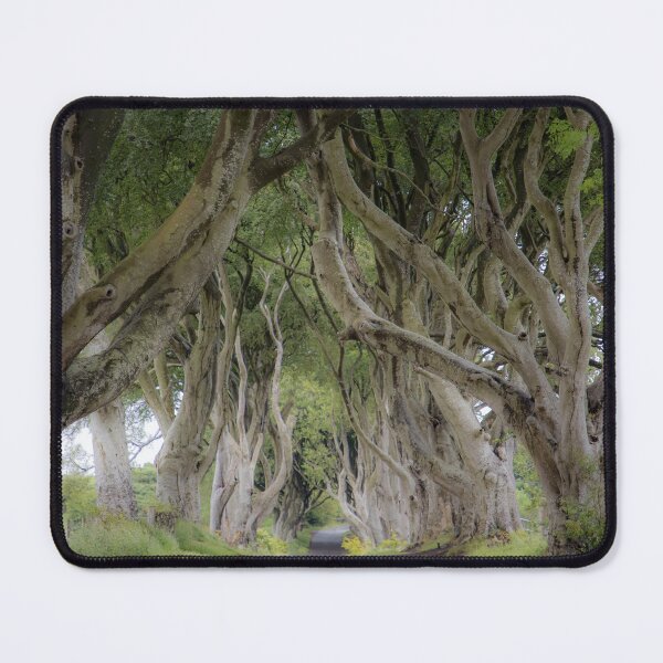 Item preview, Softly along the Dark Hedges designed and sold by RobDeakin.