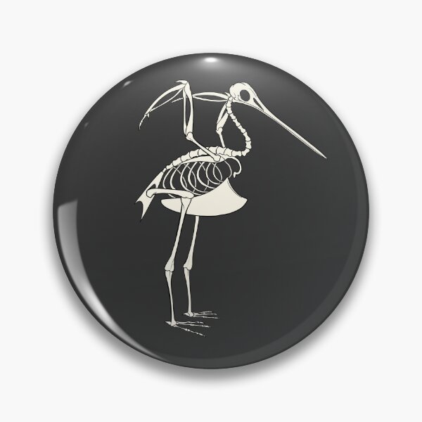 Item preview, Bar-Tailed Godwit Skeleton designed and sold by khalico.