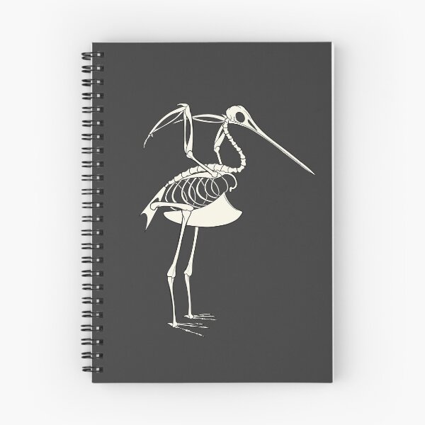 Item preview, Bar-Tailed Godwit Skeleton designed and sold by khalico.