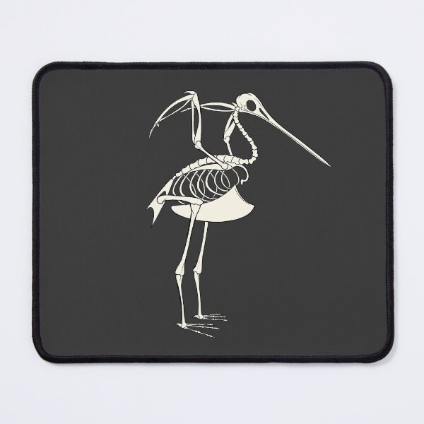 Item preview, Bar-Tailed Godwit Skeleton designed and sold by khalico.