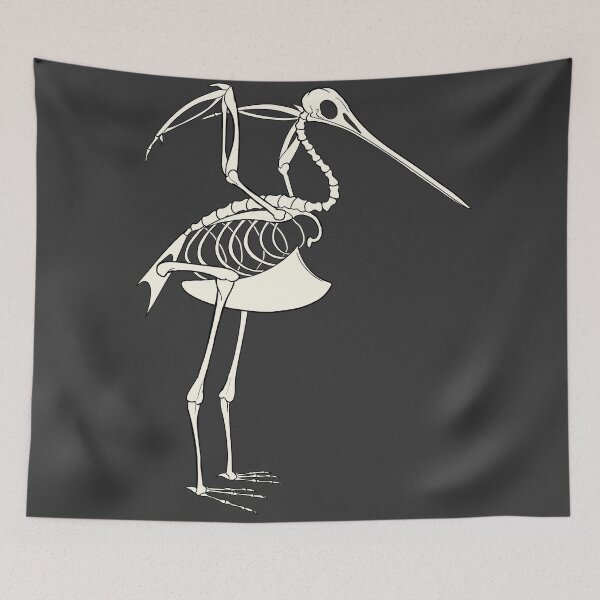Item preview, Bar-Tailed Godwit Skeleton designed and sold by khalico.
