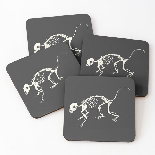 Item preview, Quoll Skeleton designed and sold by khalico.