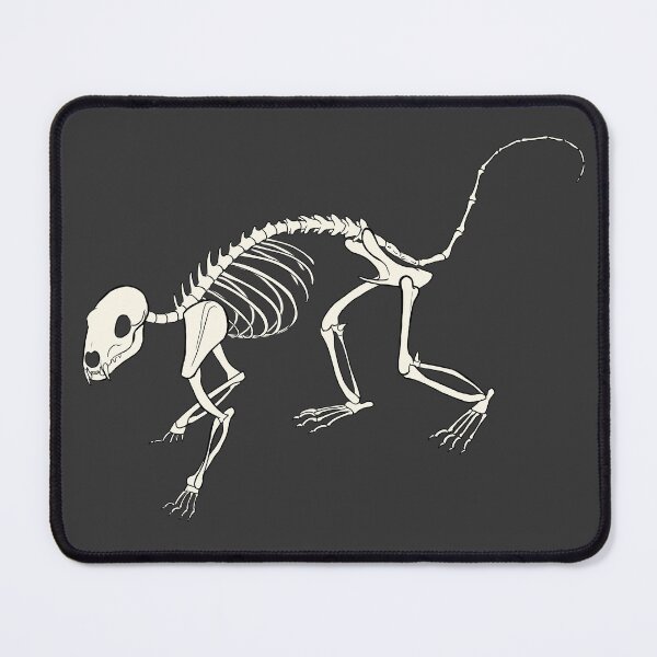 Item preview, Quoll Skeleton designed and sold by khalico.