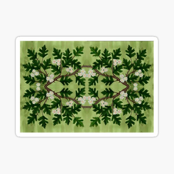 Olwen Hawthorn Sticker