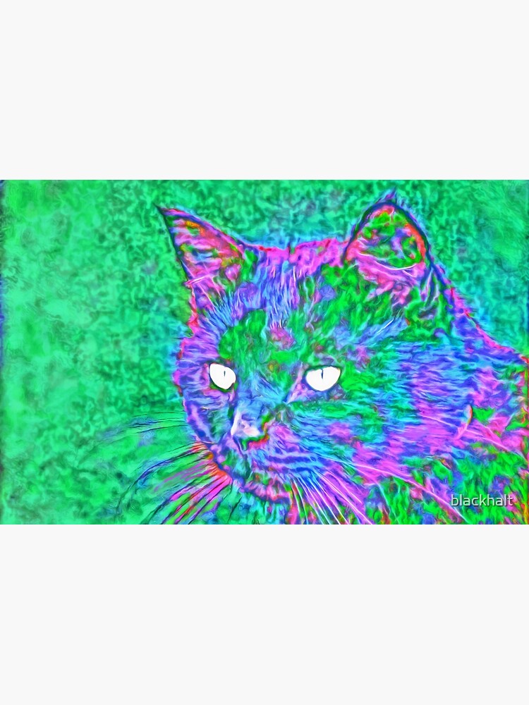 Ninja Cat, Predator by blackhalt