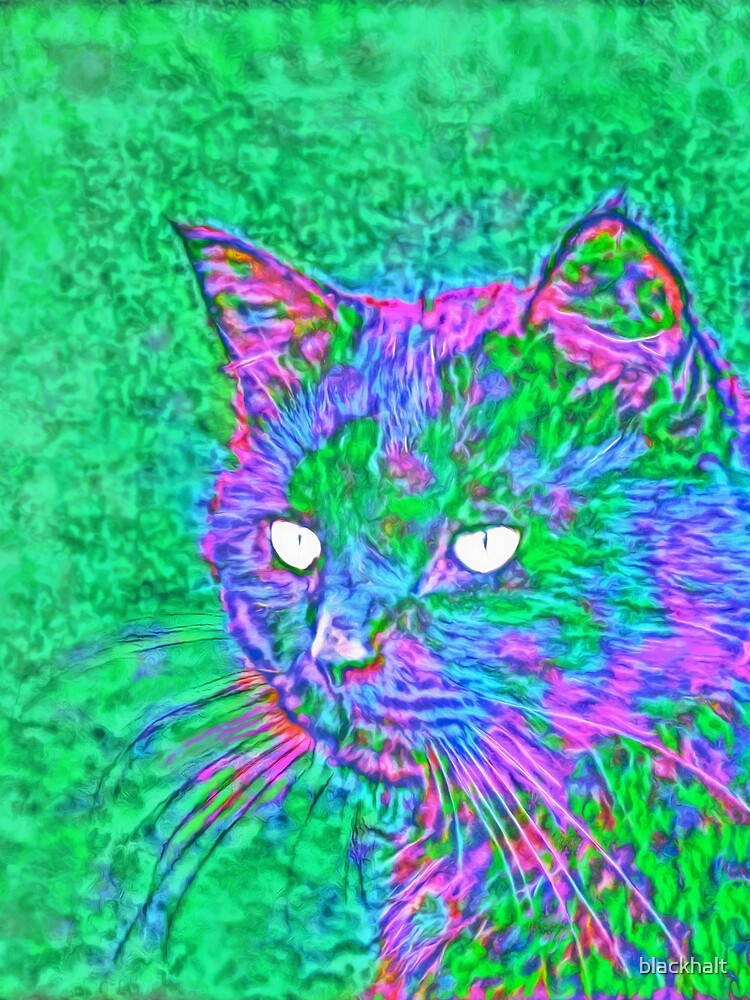 Ninja Cat, Predator by blackhalt