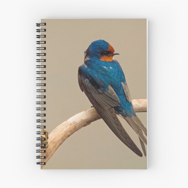 Item preview, Swallow designed and sold by Danielle  Miner.