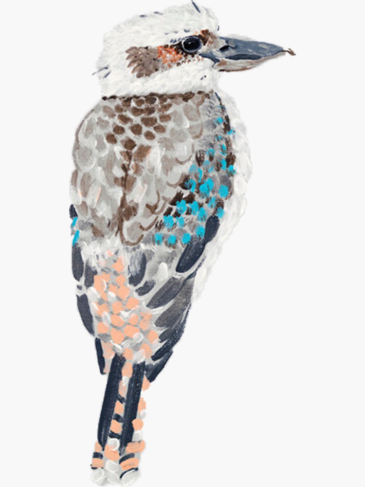 "Australian Kookaburra" Sticker for Sale by SPONKII Redbubble