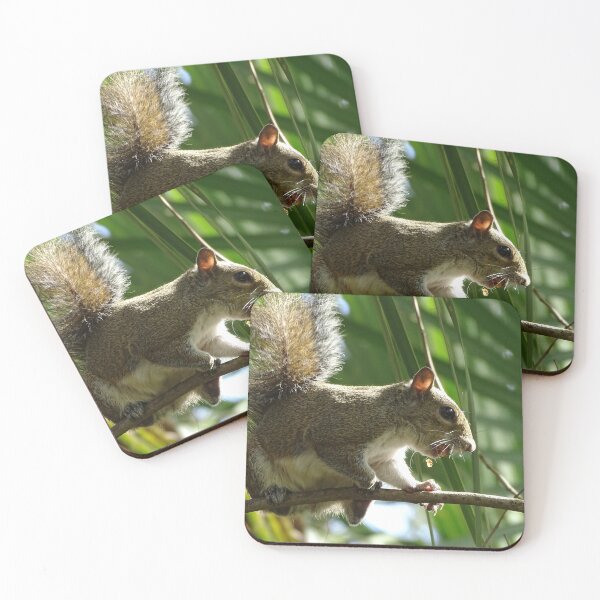 Item preview, Cte Squirrel #0085 designed and sold by Jeffrey Mask.