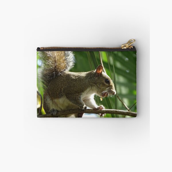 Item preview, Cte Squirrel #0085 designed and sold by Jeffrey Mask.