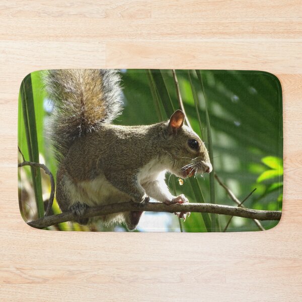 Item preview, Cte Squirrel #0085 designed and sold by Jeffrey Mask.