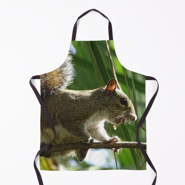 Item preview, Cte Squirrel #0085 designed and sold by Jeffrey Mask.