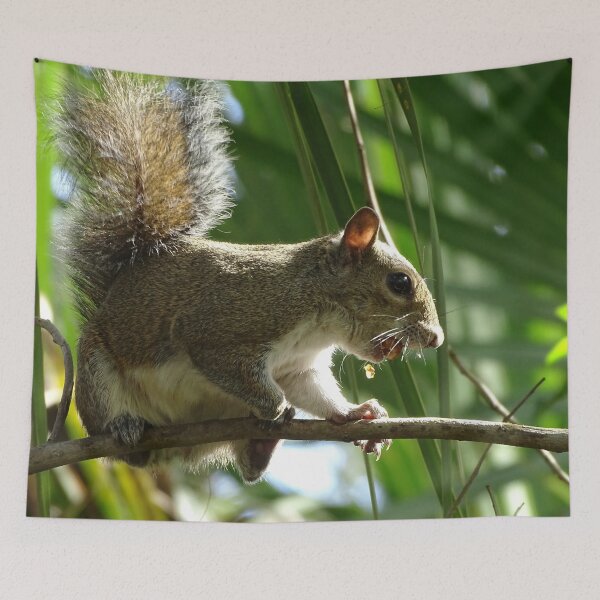 Item preview, Cte Squirrel #0085 designed and sold by Jeffrey Mask.