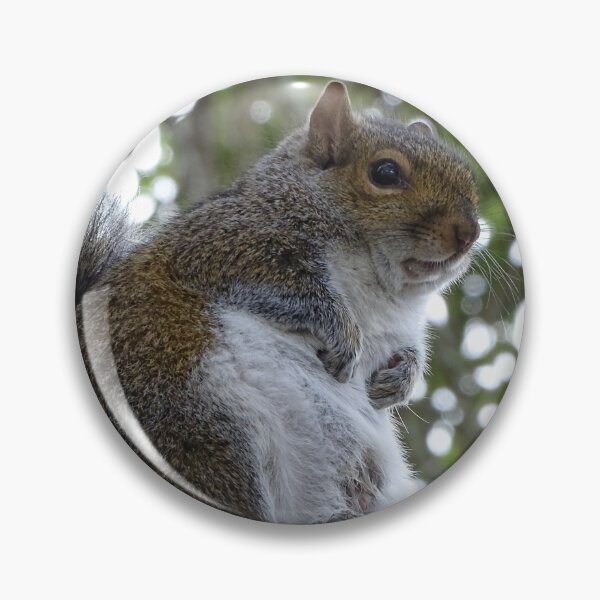 Item preview, Cute Squirrel #0086 designed and sold by Jeffrey Mask.
