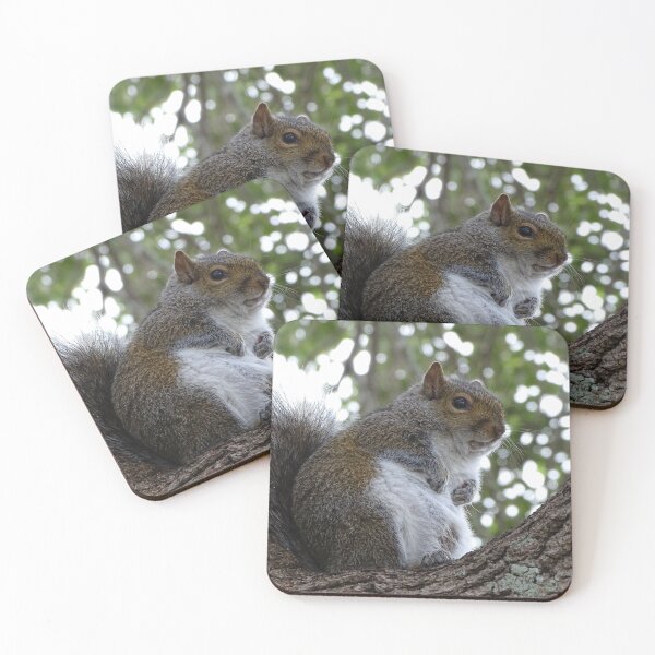 Item preview, Cute Squirrel #0086 designed and sold by Jeffrey Mask.