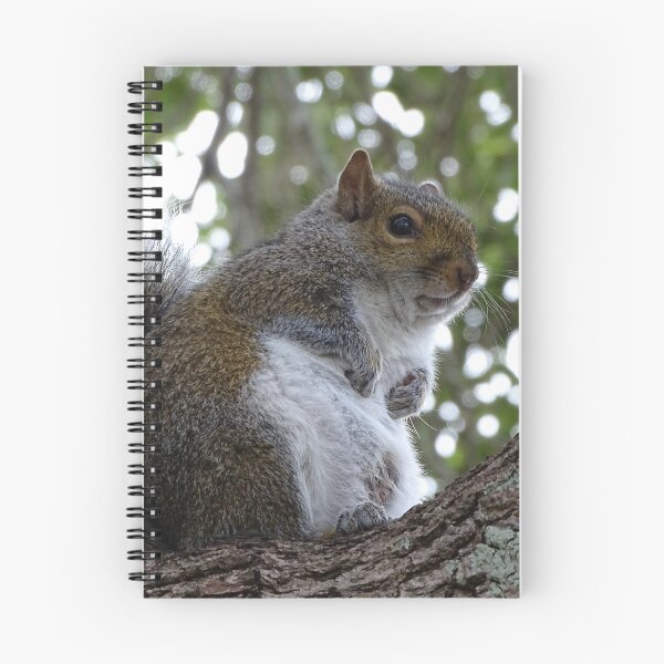 Item preview, Cute Squirrel #0086 designed and sold by Jeffrey Mask.