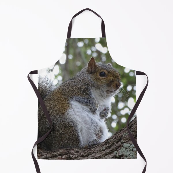 Item preview, Cute Squirrel #0086 designed and sold by Jeffrey Mask.