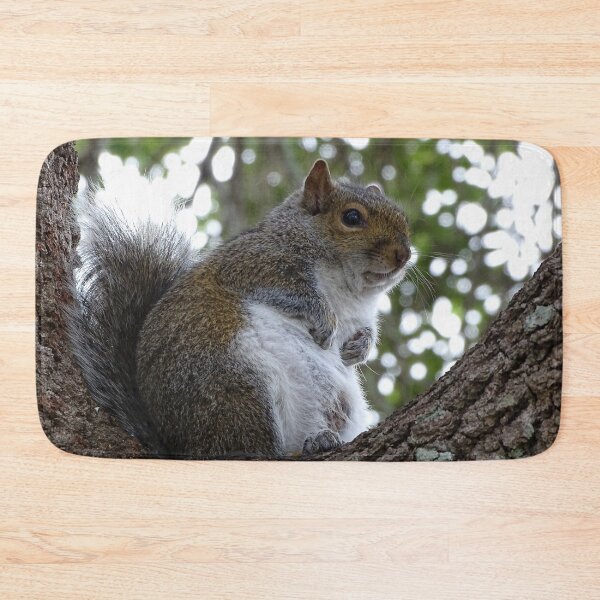 Item preview, Cute Squirrel #0086 designed and sold by Jeffrey Mask.