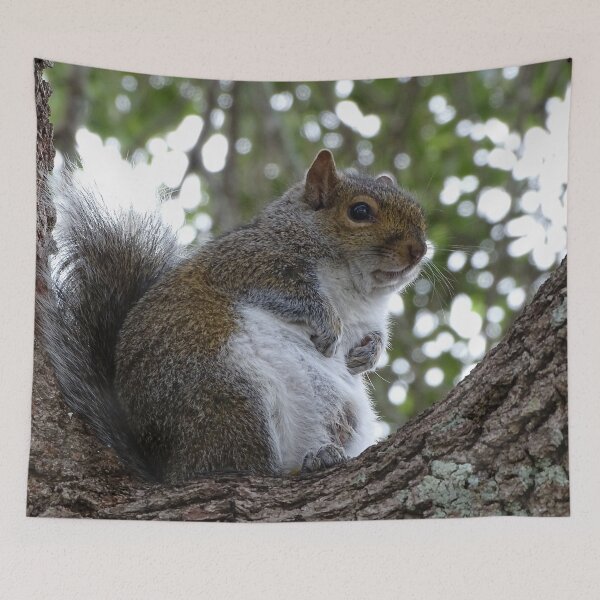 Item preview, Cute Squirrel #0086 designed and sold by Jeffrey Mask.