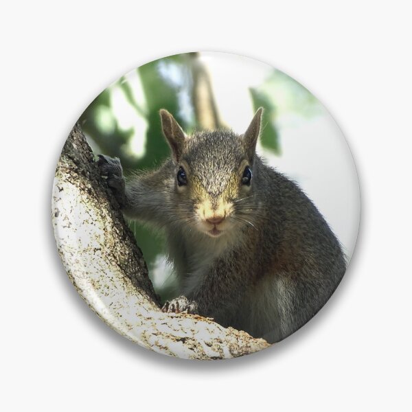 Item preview, Cute Squirrel #0087 designed and sold by Jeffrey Mask.