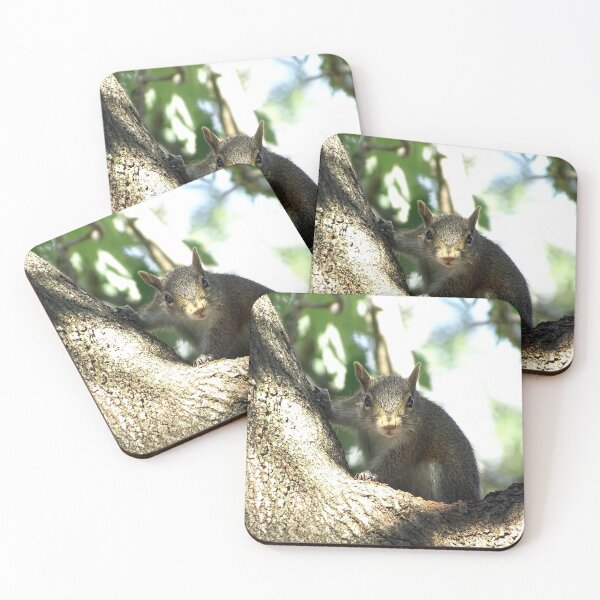 Item preview, Cute Squirrel #0087 designed and sold by Jeffrey Mask.