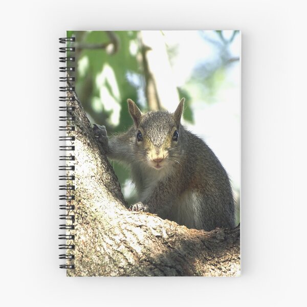 Item preview, Cute Squirrel #0087 designed and sold by Jeffrey Mask.
