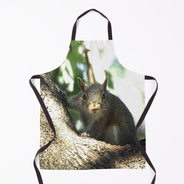 Item preview, Cute Squirrel #0087 designed and sold by Jeffrey Mask.
