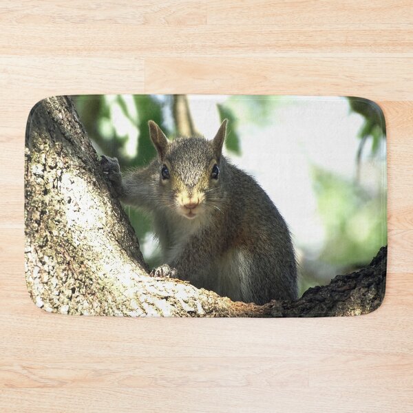 Item preview, Cute Squirrel #0087 designed and sold by Jeffrey Mask.