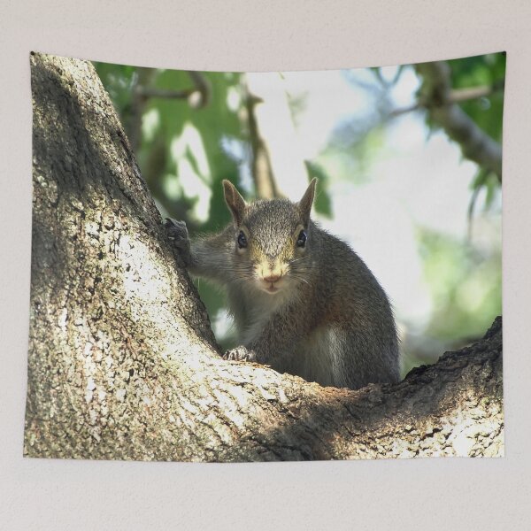 Item preview, Cute Squirrel #0087 designed and sold by Jeffrey Mask.