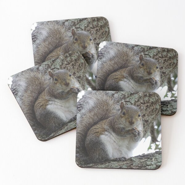 Item preview, Cute Squirrel #0088 designed and sold by Jeffrey Mask.