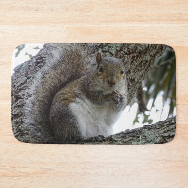 Item preview, Cute Squirrel #0088 designed and sold by Jeffrey Mask.