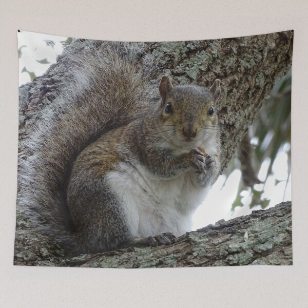 Item preview, Cute Squirrel #0088 designed and sold by Jeffrey Mask.