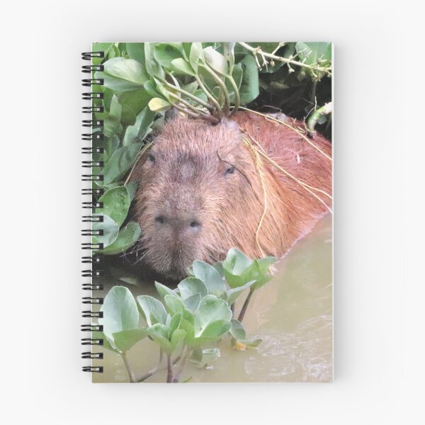 Item preview, Capybara Cool designed and sold by Ladymoose.