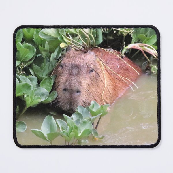 Item preview, Capybara Cool designed and sold by Ladymoose.