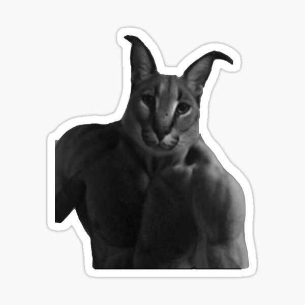  Big Floppa Meme Cat PopSockets Standard PopGrip : Cell Phones &  Accessories