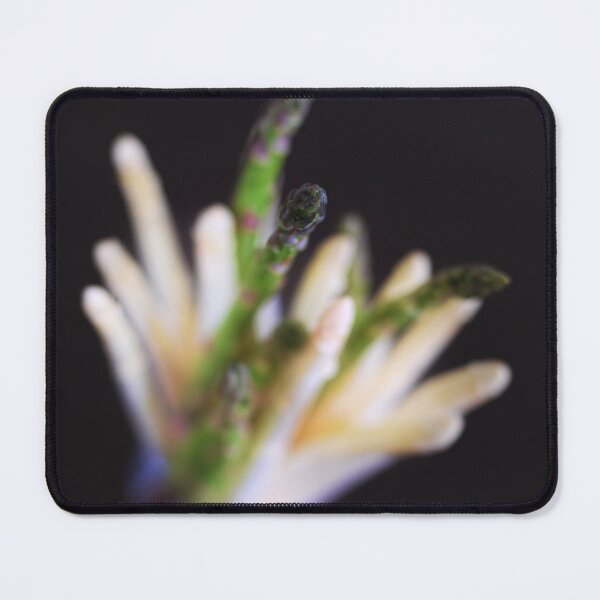 Item preview, asparagus designed and sold by hdconnellyphoto.