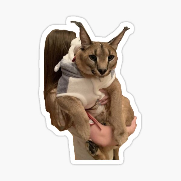 Big Floppa - Caracal meme cat / fat floppa / cursed floppa | Sticker
