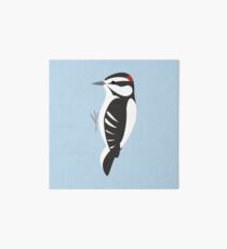 Downy Woodpecker Art Board Print