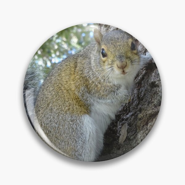Item preview, Cute SSquirrel #0089 designed and sold by Jeffrey Mask.