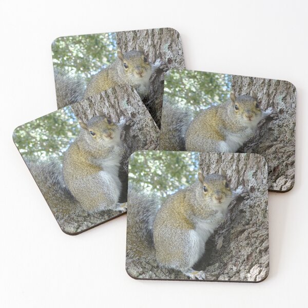 Item preview, Cute SSquirrel #0089 designed and sold by Jeffrey Mask.