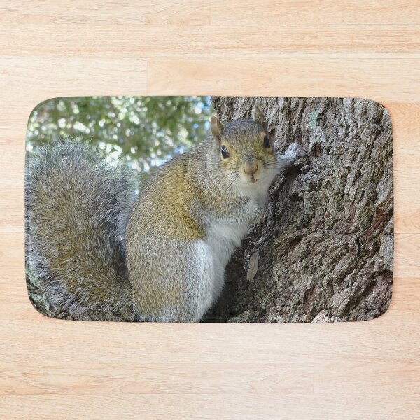 Item preview, Cute SSquirrel #0089 designed and sold by Jeffrey Mask.
