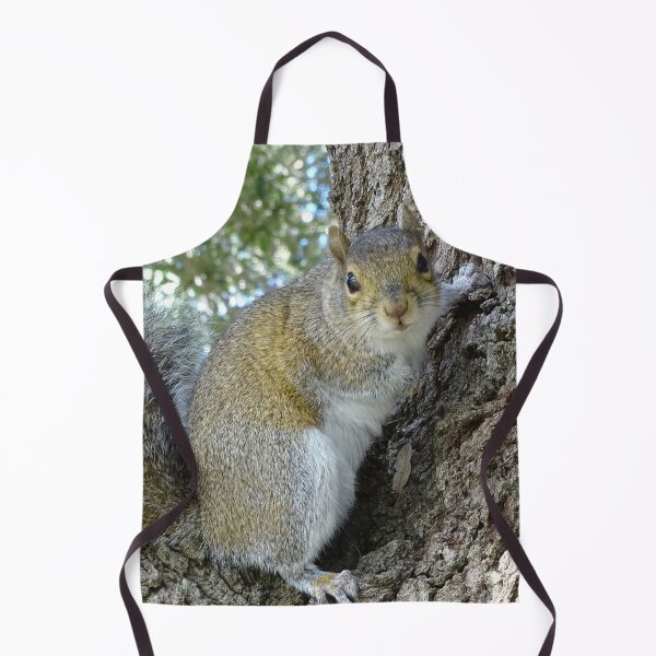 Item preview, Cute SSquirrel #0089 designed and sold by Jeffrey Mask.