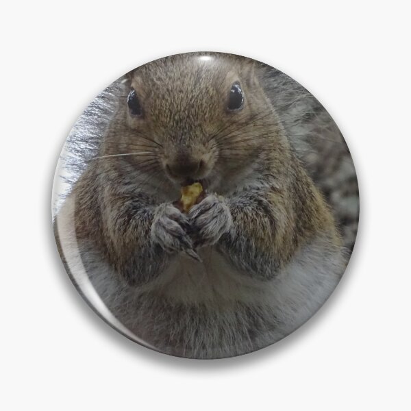 Item preview, Cute squirrel #0090 designed and sold by Jeffrey Mask.