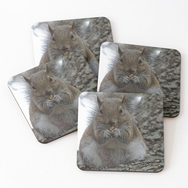 Item preview, Cute squirrel #0090 designed and sold by Jeffrey Mask.