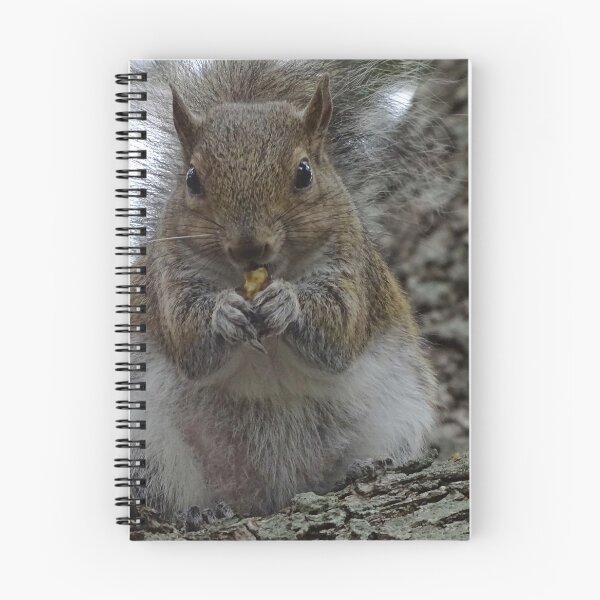 Item preview, Cute squirrel #0090 designed and sold by Jeffrey Mask.